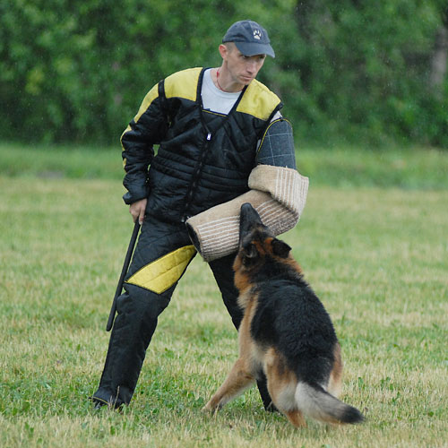 dresseur-chien