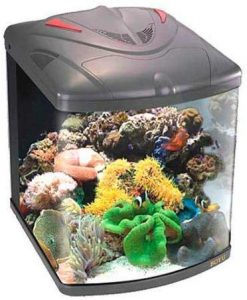 aquarium boyu