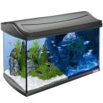 aquarium tetra aquaart 60