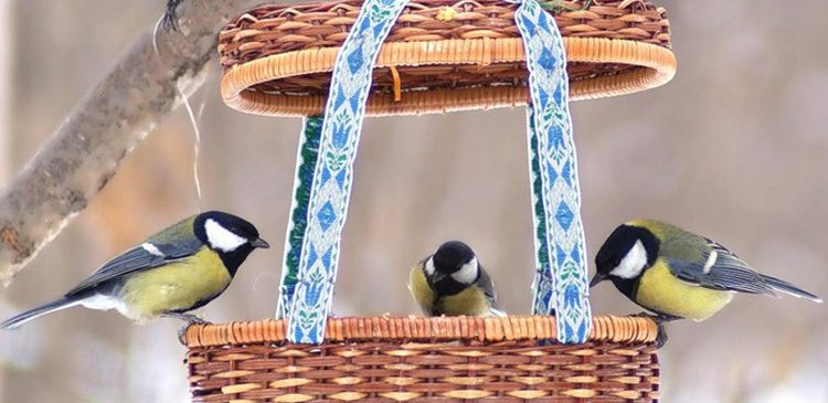 oiseaux sur une mangeoire fait avec un panier en osier