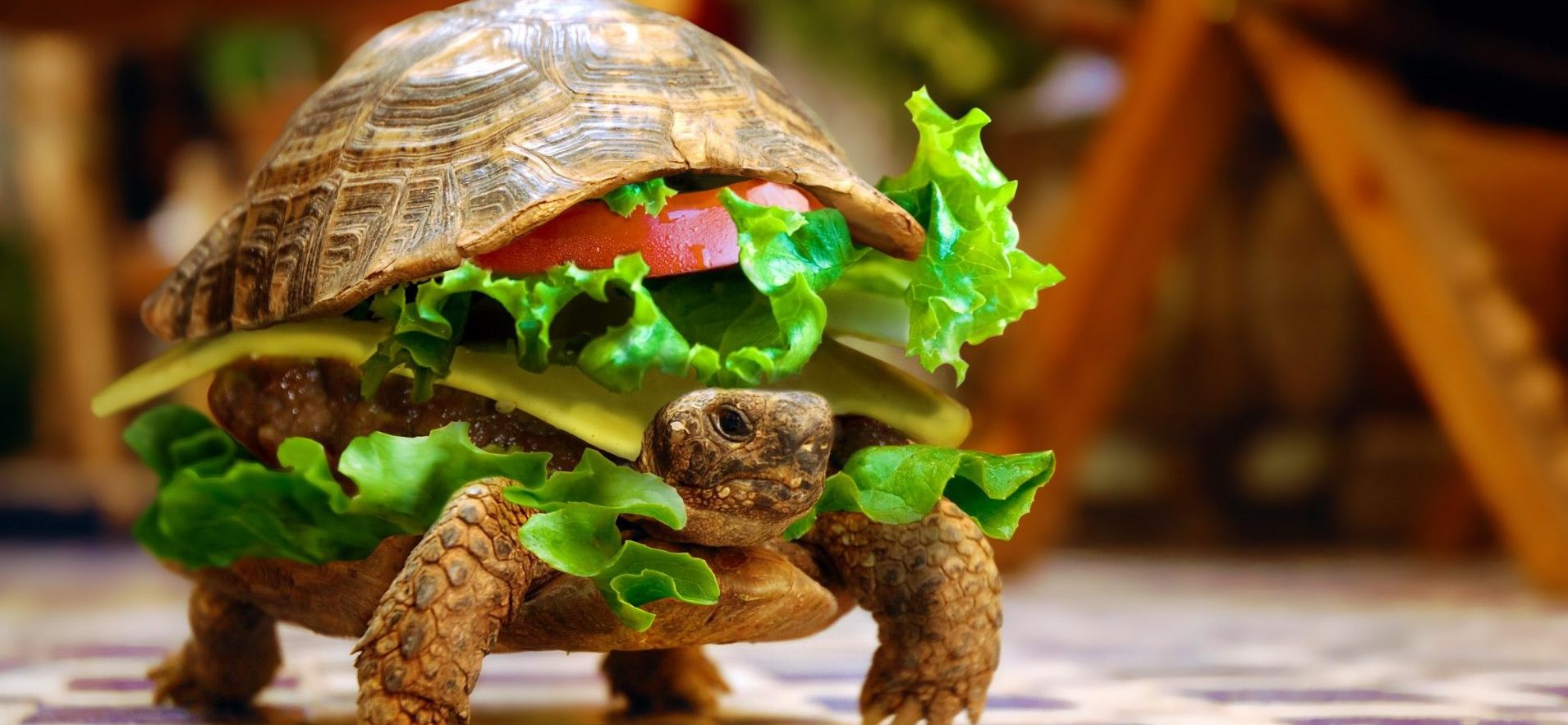 image fictive de tortue avec une carapace remplit de salade et tomate