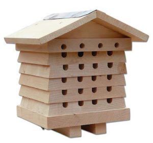 ruche pour abeilles en bois brut pour jardin