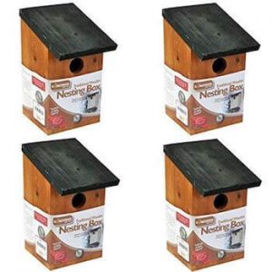 lot de 4 nichoirs kingfisher nestbox