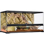 terrarium exoterra horizontal