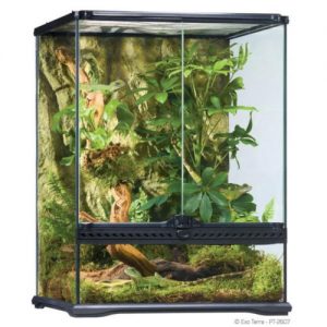 terrarium vertical exoterra