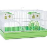 Cage gerbille Prevue Hendryx Deluxe en vert citron