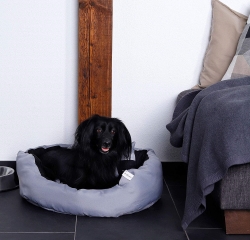 Chien assis sur lit Dibea gris et noir