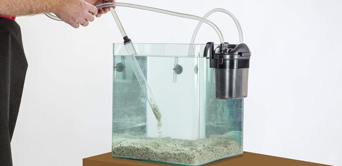 Personne utilisant un aspirateur aquarium 