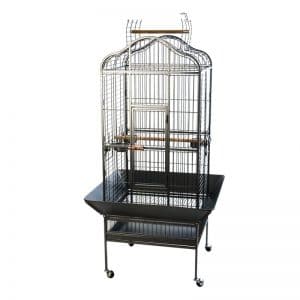 cage perroquet noble