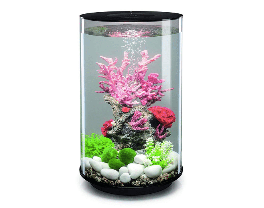 Un aquarium d'eau de mer récifal pour les nuls